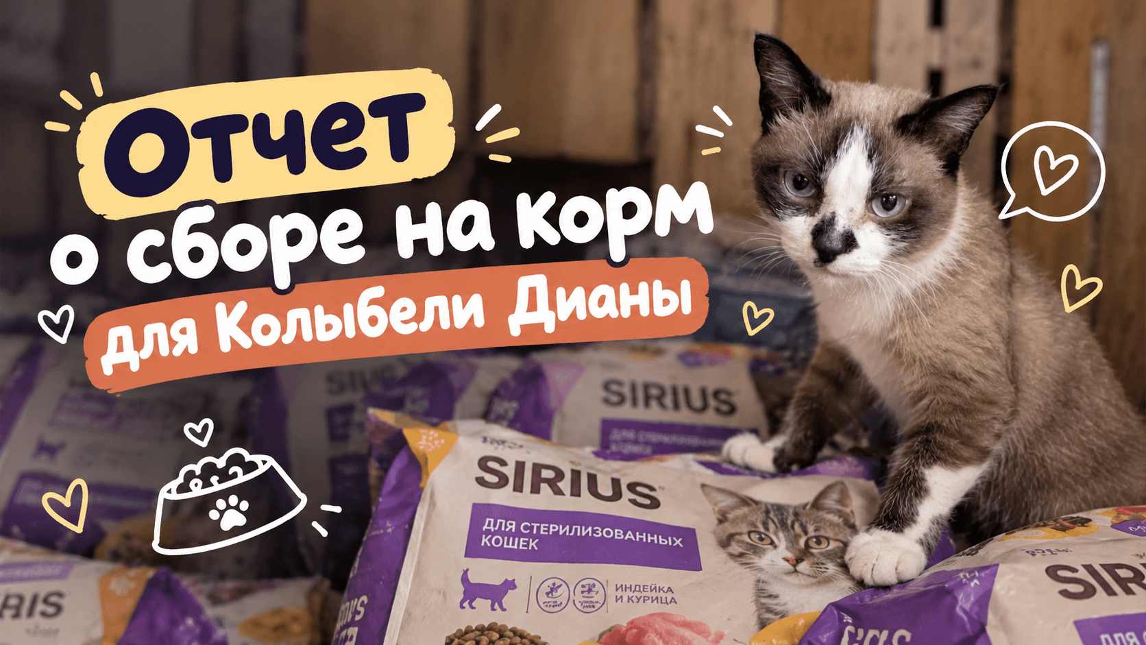 Корм для кошек «Колыбели Дианы»: отчет